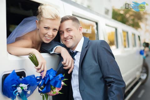 Wedding Limousine & Shuttle