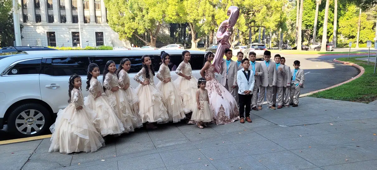 Birthdays Picnics Limo Booking Woodland CA 95776 USA Birthdays-Picnics-Limo-Booking-Woodland-CA-95776-USA
