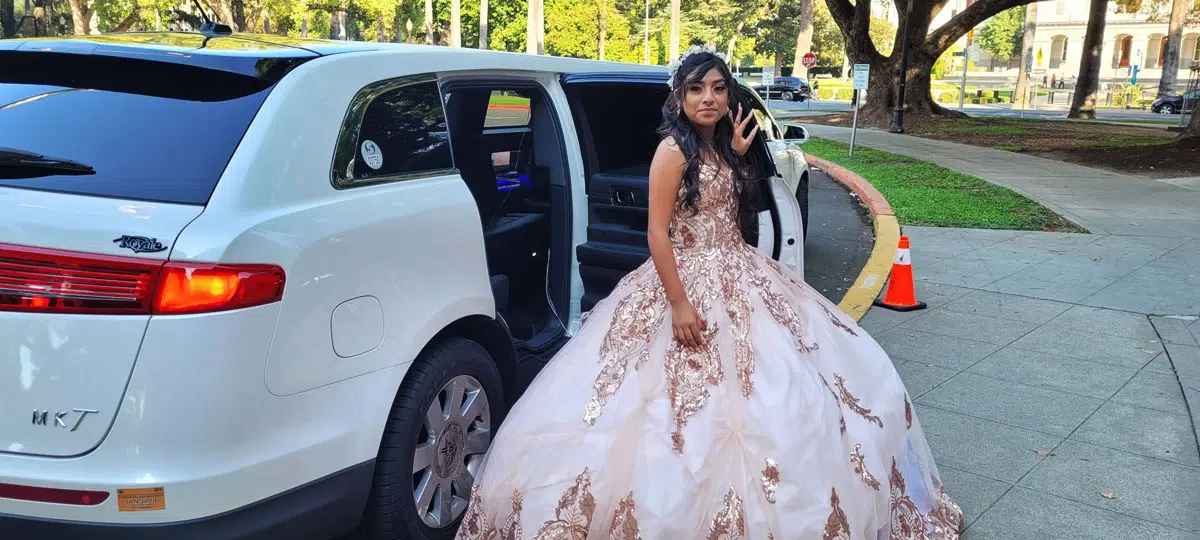 Birthdays Picnics Limo Booking Woodland CA 95776 Birthdays-Picnics-Limo-Booking-Woodland-CA-95776