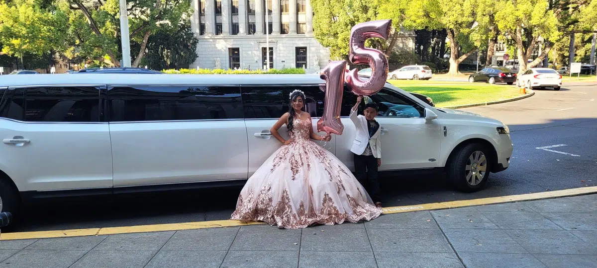 Birthdays Picnics Limo Booking Woodland CA Birthdays-Picnics-Limo-Booking-Woodland-CA