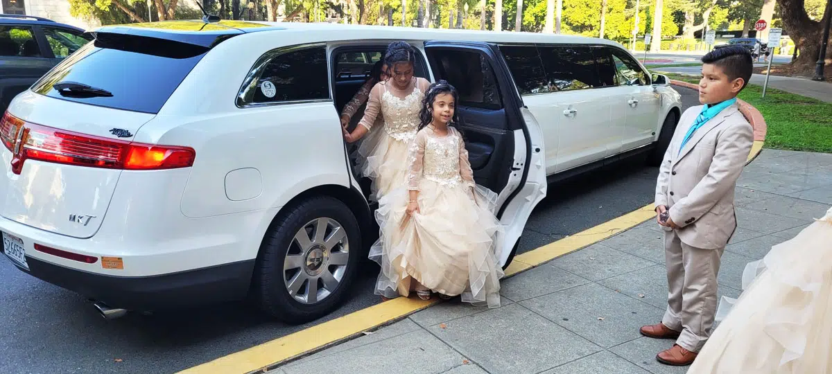 Birthdays Picnics Limo Booking Woodland Birthdays-Picnics-Limo-Booking-Woodland