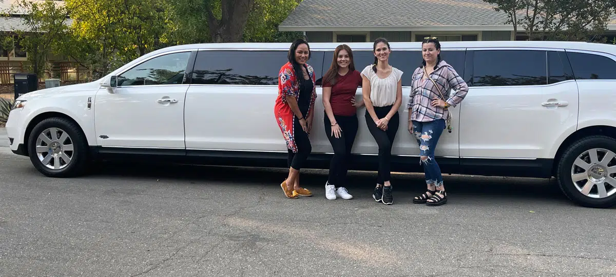 Birthdays Picnics Limo Punjabi Birthdays-Picnics-Limo-Punjabi