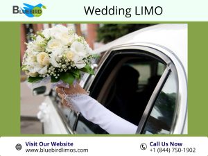 white car for Wedding LEMOS