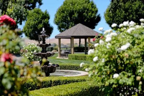 Amador County Wineries