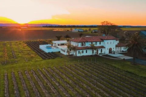 yolo county wineries wine tour limo