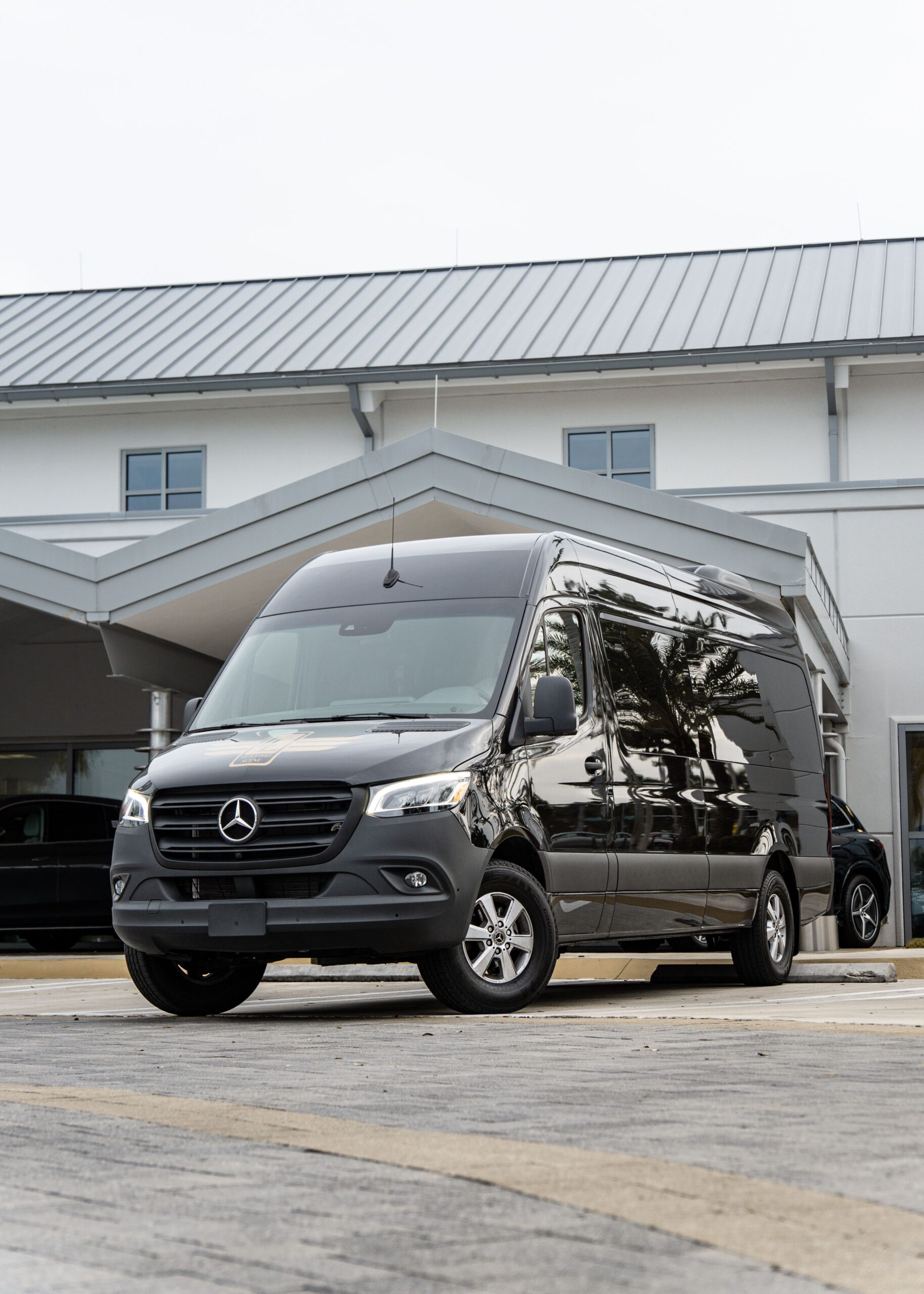 8 Passenger Charter Sprinter — airport transportation to Anaheim Disneyland