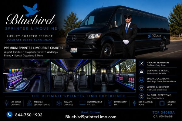 bluebird (19)