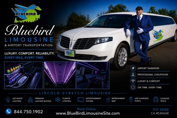 bluebird (9)